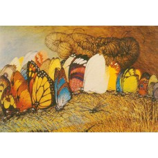 GREETING CARD AINSLIE ROBERTS-BIRTH OF BUTTERFLIES